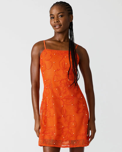 XXS